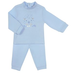 Amore Baby Boys 2 Piece Set Hedgehog
