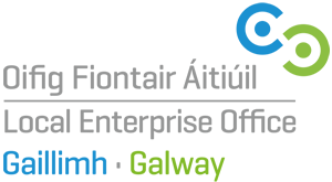 Galway-LEO-Logo-small