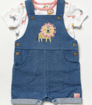 Baby Girl Short Style Dungarees and Short Sleeve Top (Copy)
