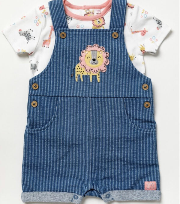 Baby Girl Short Style Dungarees and Short Sleeve Top (Copy)