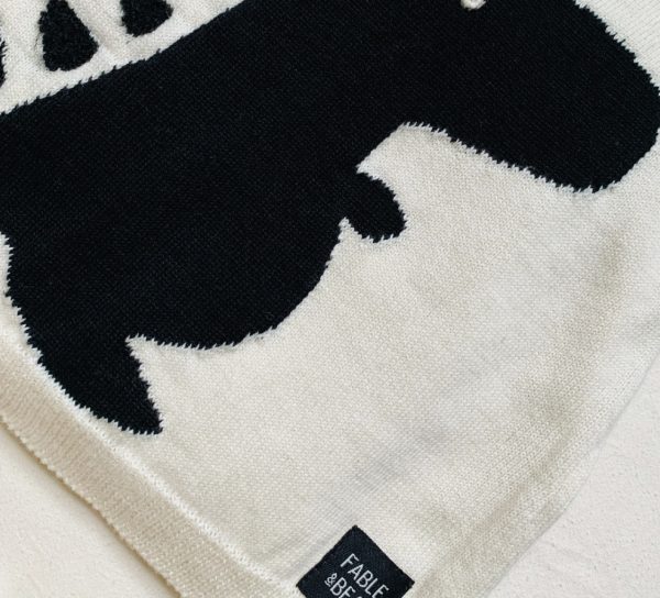 Fable and Bear Organic Cotton Dinosaur Jumper - Image 4