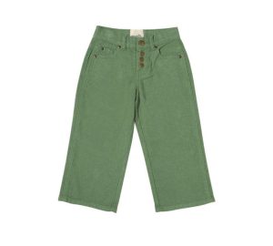 Vignette Wide Leg Cropped Pants Cactus Green