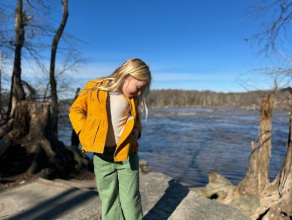Vignette Wide Leg Cropped Pants Cactus Green - Image 2